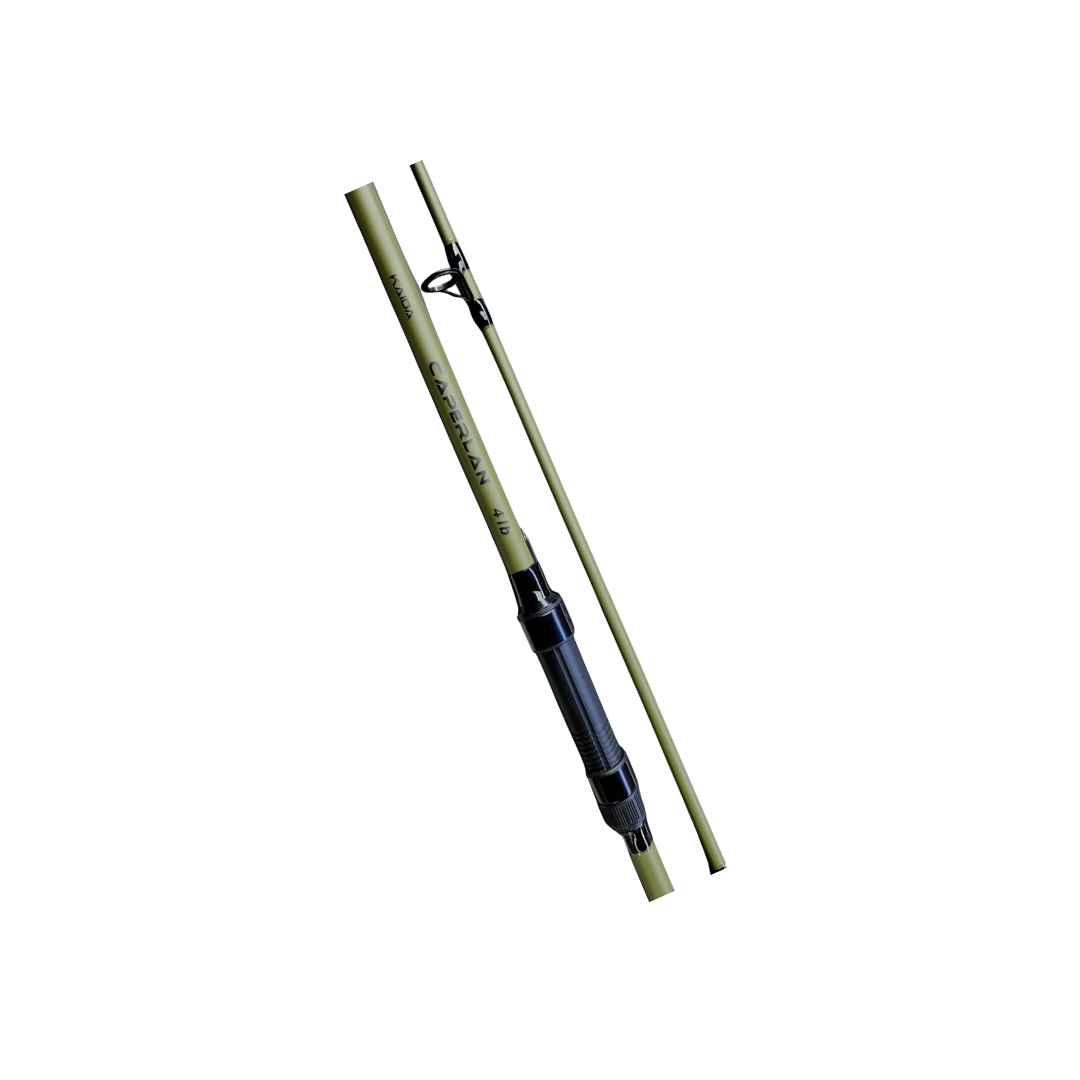 Kaida 10FT 4LB Carp Rods